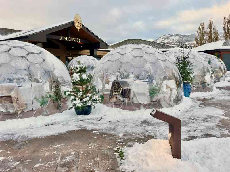 Domes & Tasting @ Frind