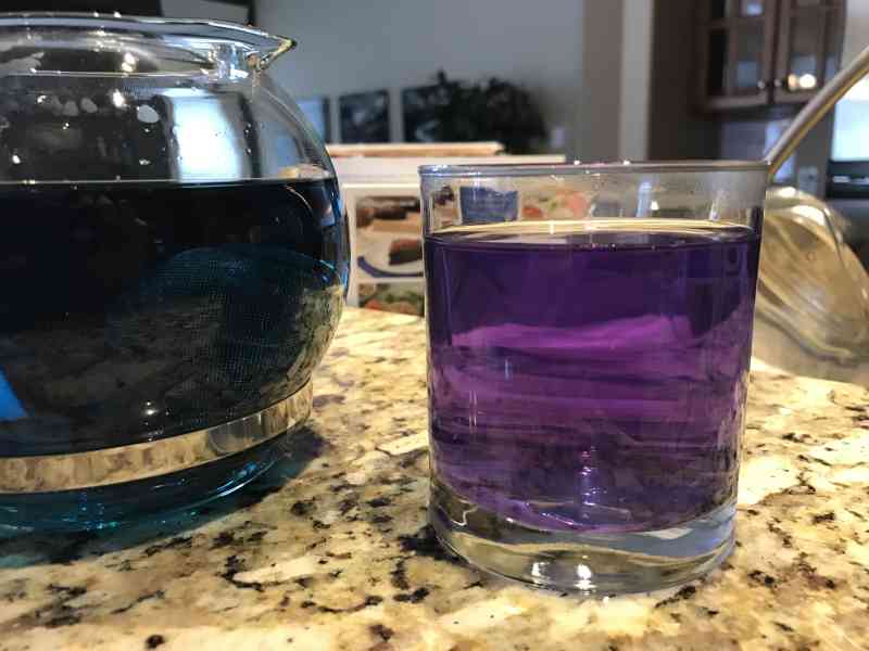 Butterfly Pea Tea