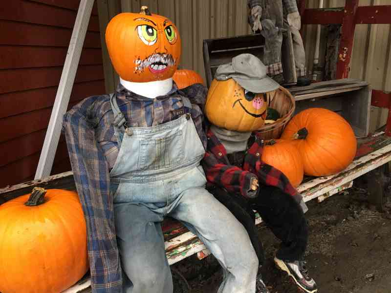 Davison Orchards Vernon